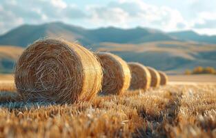 ai generado heno fardos en el campo después cosecha agrícola paisaje foto