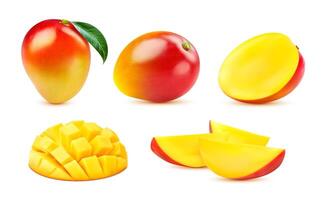 Tropical realistic mango fruit slices with leaves vector