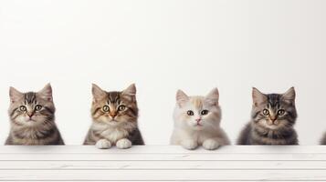 AI generated Adorable cats posing with copy space on white background, perfect for text or design photo
