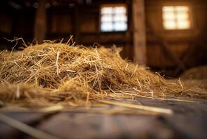 AI generated Hay is pile of dry grass in the barn photo