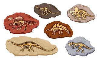 Dinosaur fossil bones in stones or dino skeletons vector