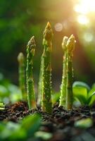 AI generated Young green asparagus shoots growing in the soil photo