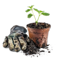 ai generiert ein Paar von Gartenarbeit Handschuhe mit Boden Flecken und ein klein eingetopft Pflanze ausgeschnitten Clip Art png
