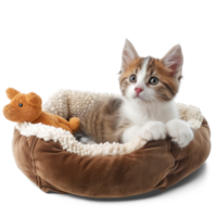 AI generated A pet bed with a soft cushion with cat kitten sitting isolated on transparent background png