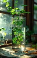 AI generated Glass of water with green plants. Shamrock photo