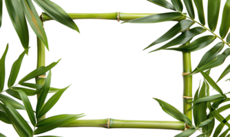 AI generated Horizontal Bamboo Frame with Leaves Transparent cutout. Tropical Greenery Design Element with Copy Space png