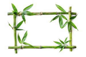 AI generated Horizontal Bamboo Frame with Leaves Transparent cutout. Tropical Greenery Design Element with Copy Space png