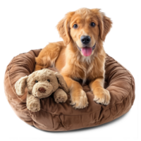 AI generated A pet bed with a soft cushion with happy dog puppy sitting isolated on transparent background png