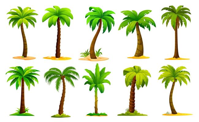 Cartoon jungle palm trees, tropical plants set