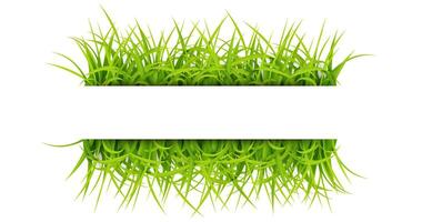 Sign with Text Space of Young Grass. Suitable For Nature Concept, Spring, and Summer Holiday, Vector Illustration