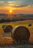 ai generado heno fardos en el campo después cosecha Hungría foto