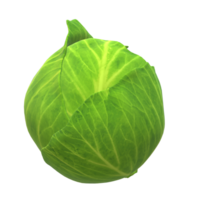 Fresh Vegetable Whole Cabbage with Green Leaves 3d rendering png