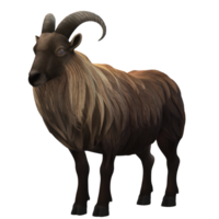 mouton eid Al adha 3d le rendu png