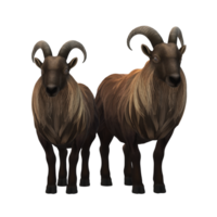 mouton eid Al adha 3d le rendu png