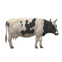 Black and white spotted cow 3D Rendering png