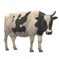 Black and white spotted cow 3D Rendering png