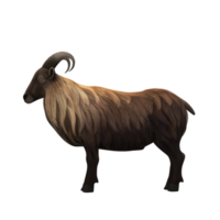 Schaf eid al adha 3d Rendern png