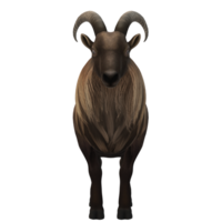 mouton eid Al adha 3d le rendu png