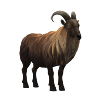 sheep  Eid al Adha  3D Rendering png