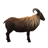 schapen eid al adha 3d renderen png