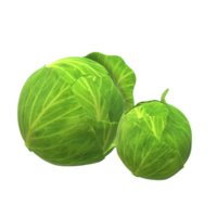 Fresh Vegetable Whole Cabbage with Green Leaves 3d rendering png