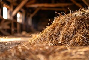 AI generated Hay bales in the barn and sunlight coming through the window photo