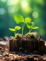 AI generated The saplings are growing on the stump with blurred green nature background photo