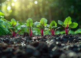 ai generado joven raíz de remolacha plantas creciente en el vegetal jardín foto