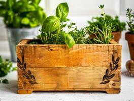 AI generated Fresh basil growing in wooden box photo