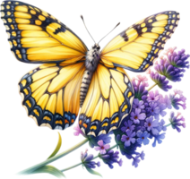 ai generado vívido amarillo mariposa en lavanda flores png