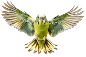 AI generated a green and yellow parakeet flying in the air png