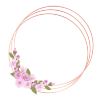 Hand-Drawn Pink Cherry Blossoms - Japan Inspired Flowers png