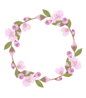 Hand-Drawn Pink Cherry Blossoms - Japan Inspired Flowers png