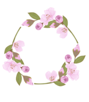 Hand-Drawn Pink Cherry Blossoms - Japan Inspired Flowers png