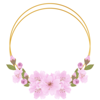 desenhado à mão Rosa cereja flores - Japão inspirado flores png