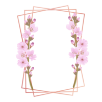 Hand-Drawn Pink Cherry Blossoms - Japan Inspired Flowers png