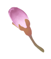 disegnato a mano rosa ciliegia fiori - Giappone ispirato fiori png