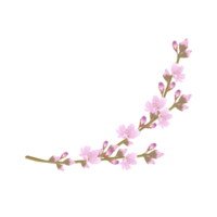 Hand-Drawn Pink Cherry Blossoms - Japan Inspired Flowers png