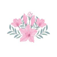 dibujado a mano rosado azalea floraciones - primavera flor ilustración png