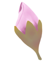 dessiné à la main rose Cerise fleurs - Japon inspiré fleurs png