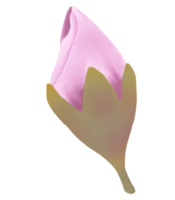 desenhado à mão Rosa cereja flores - Japão inspirado flores png