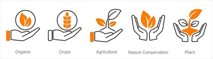 A set of 5 Organic Farming icons as organic, crops, agriculture vector