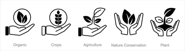 A set of 5 Organic Farming icons as organic, crops, agriculture vector