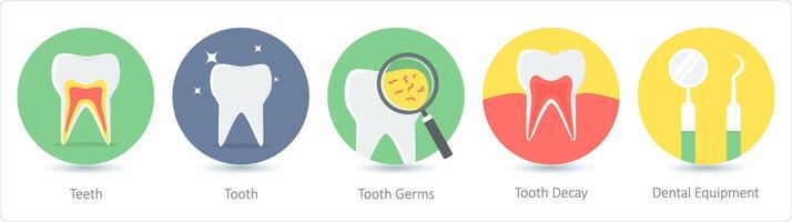 A set of 5 medical icons as teeth, tooth, tooth germs, tooth decay vector