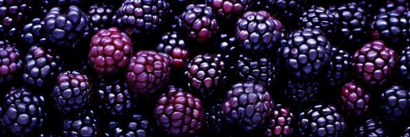 AI generated Delicious fresh blackberry fruits background banner for food and beverage marketing collateral photo