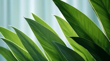 AI generated Minimalistic tropical leaves on soft backdrop, serene greenery concept for relaxing environment photo