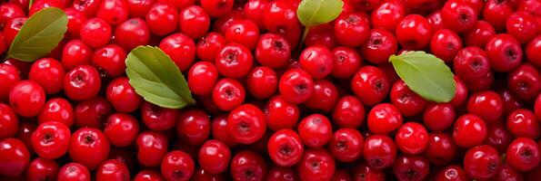 AI generated Delicious lingonberries - culinary delights with vibrant scandinavian red berries photo