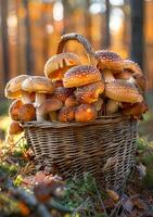 AI generated Mushrooms in basket in the autumn forest photo