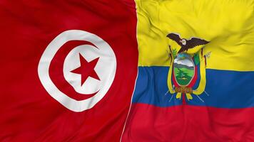 Tunisia vs Ecuador Flags Together Seamless Looping Background, Looped Bump Texture Cloth Waving Slow Motion, 3D Rendering video