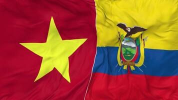 Vietnam vs Ecuador banderas juntos sin costura bucle fondo, serpenteado bache textura paño ondulación lento movimiento, 3d representación video